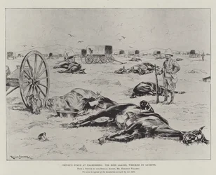 Cronjes Stand bei Paardeberg, das zerstörte Burenlager